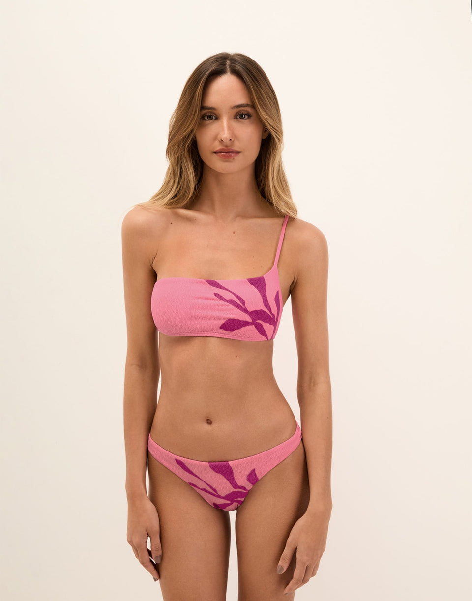 Firenze Molly Basic Bottom - Pink Pearl Full / XS