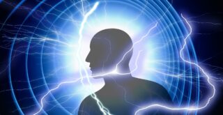 The Collective Pulse